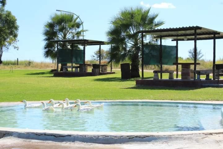 Bambi Lodge Grootfontein Exterior photo