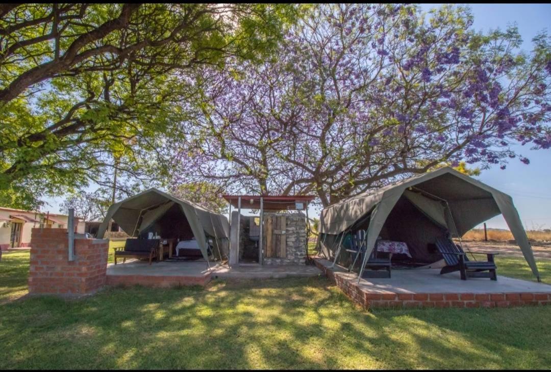 Bambi Lodge Grootfontein Exterior photo